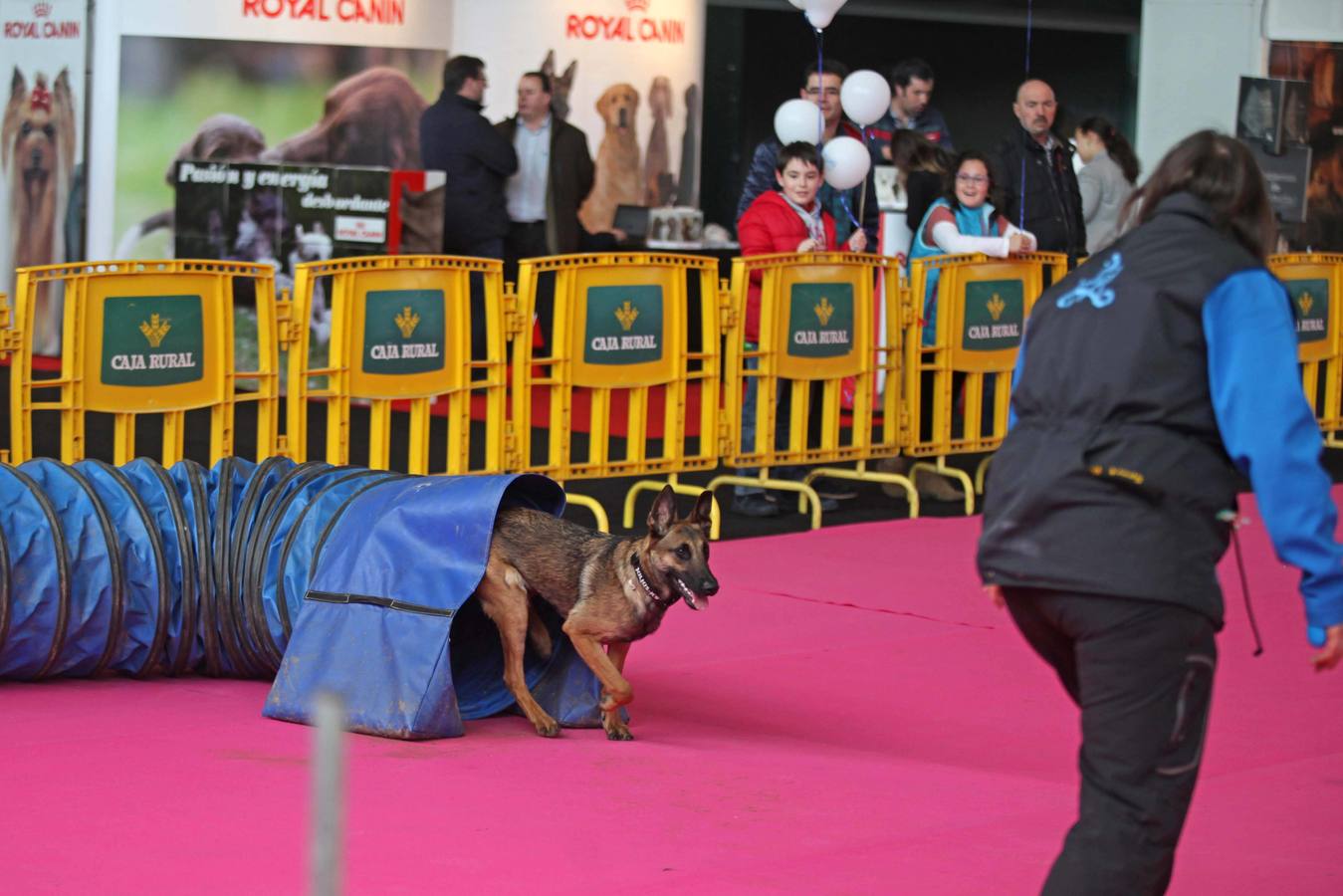 Las mascotas, protagonistas en la feria Principets