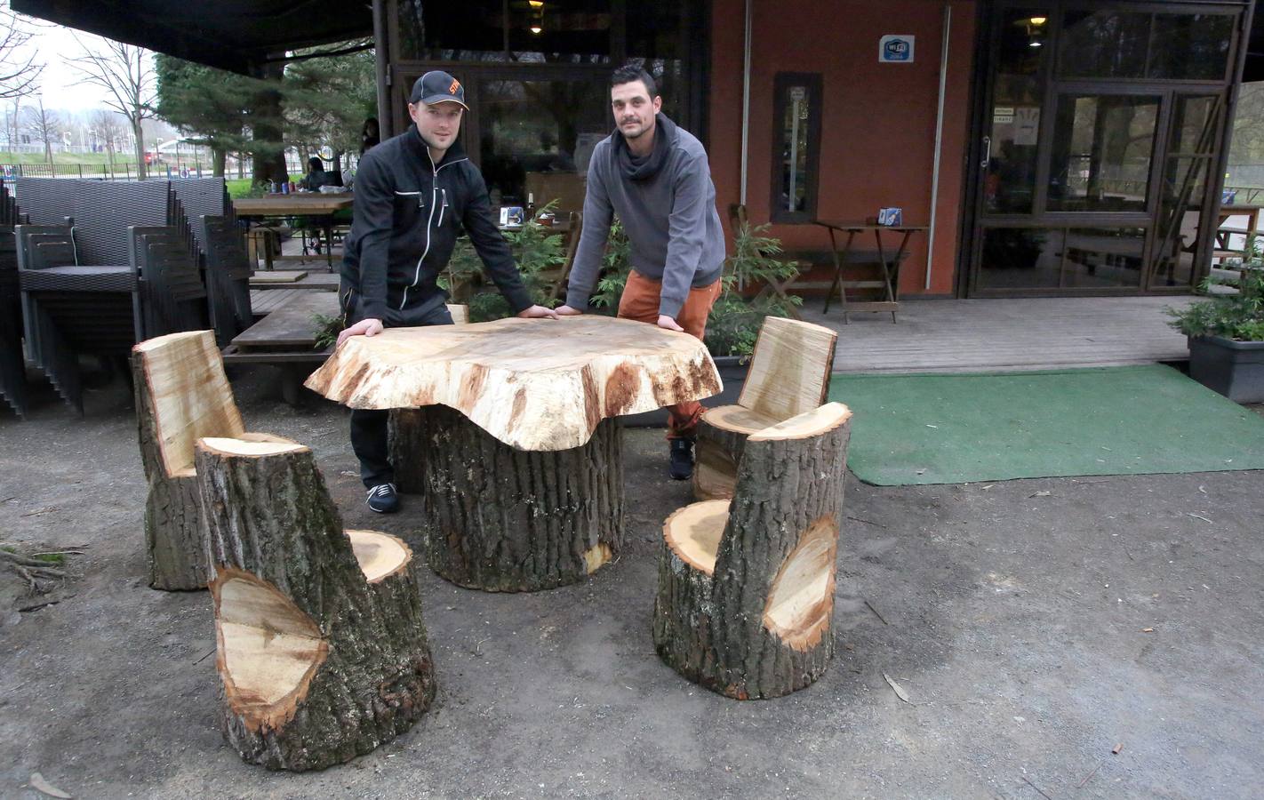 Tala de árboles en el parque de Isabel La Católica