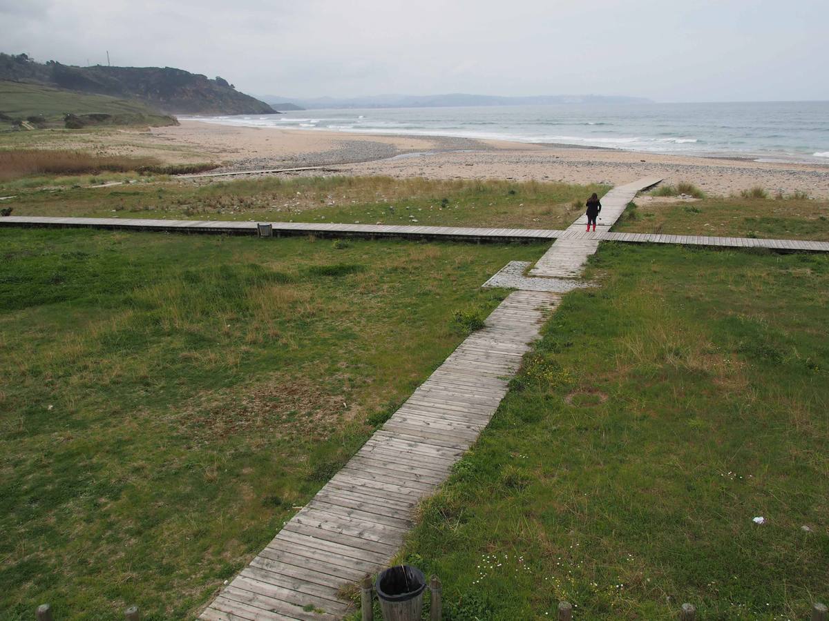 Playa de Vega, Ribadesella