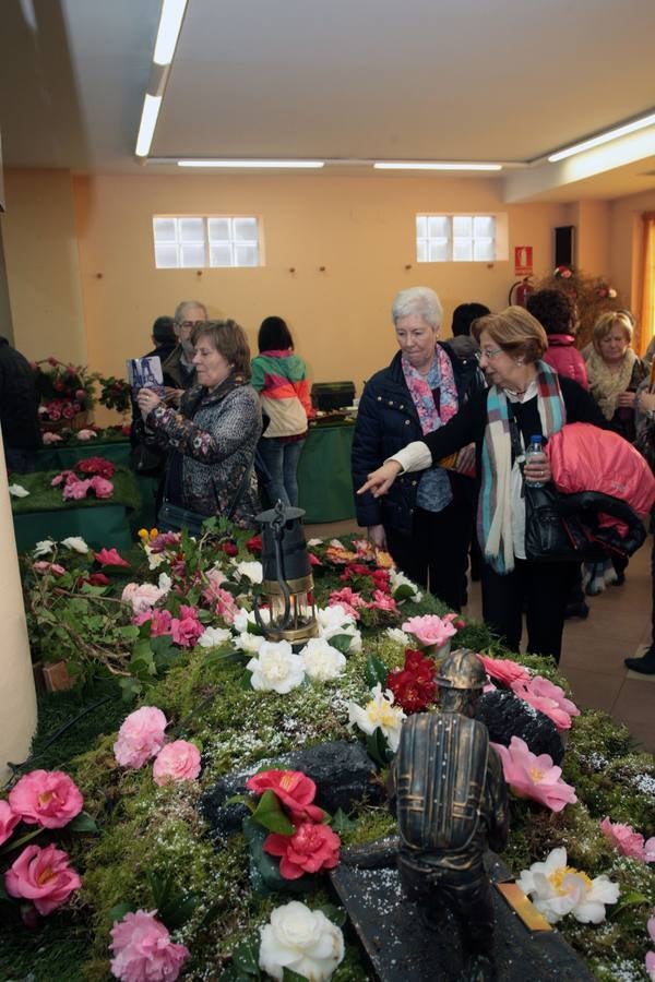 XI Exposición Nacional de Camelias en Turón