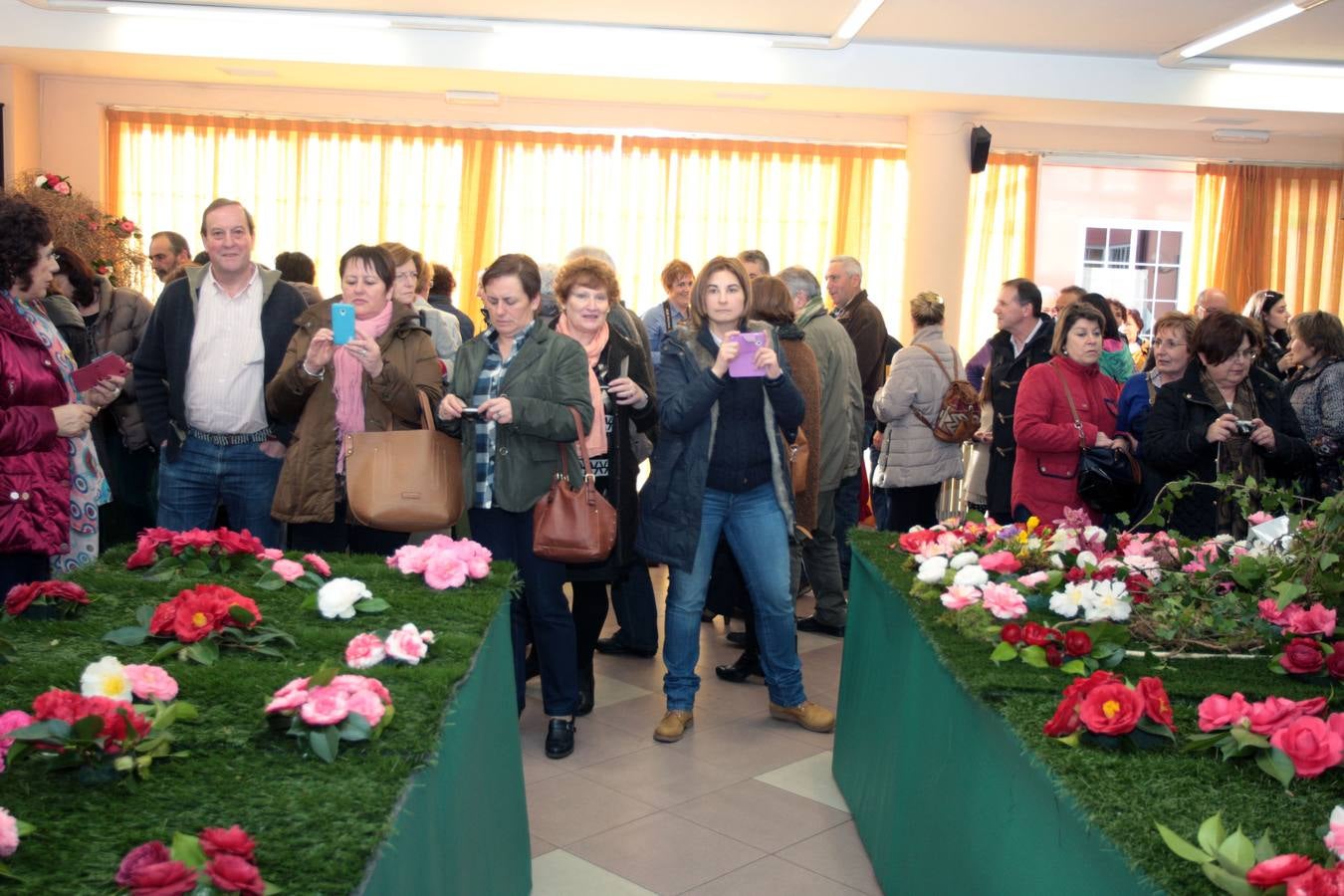 XI Exposición Nacional de Camelias en Turón
