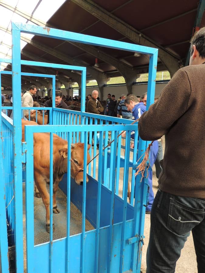 Feria ganadera de Ramos en Cangas del Narcea