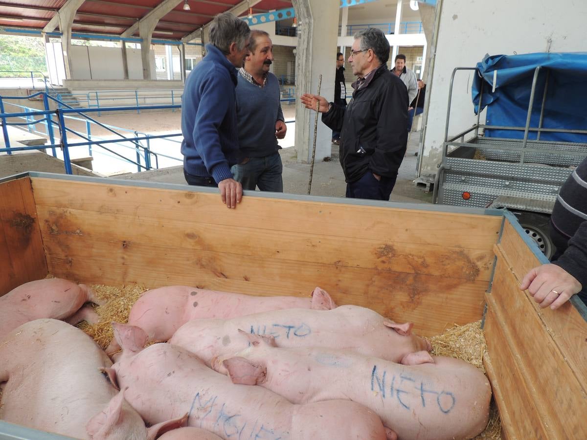 Feria ganadera de Ramos en Cangas del Narcea