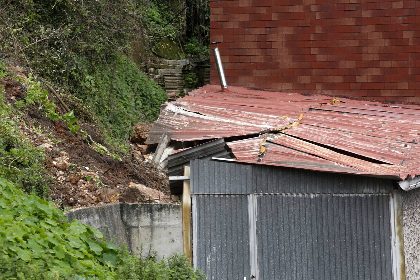 Un argayo causa daños en El Muselín