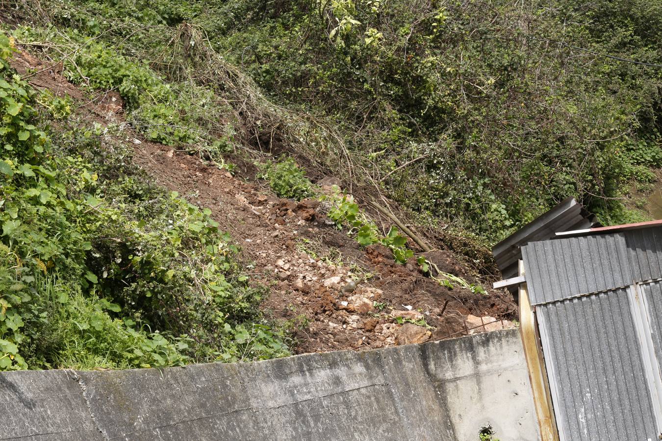 Un argayo causa daños en El Muselín
