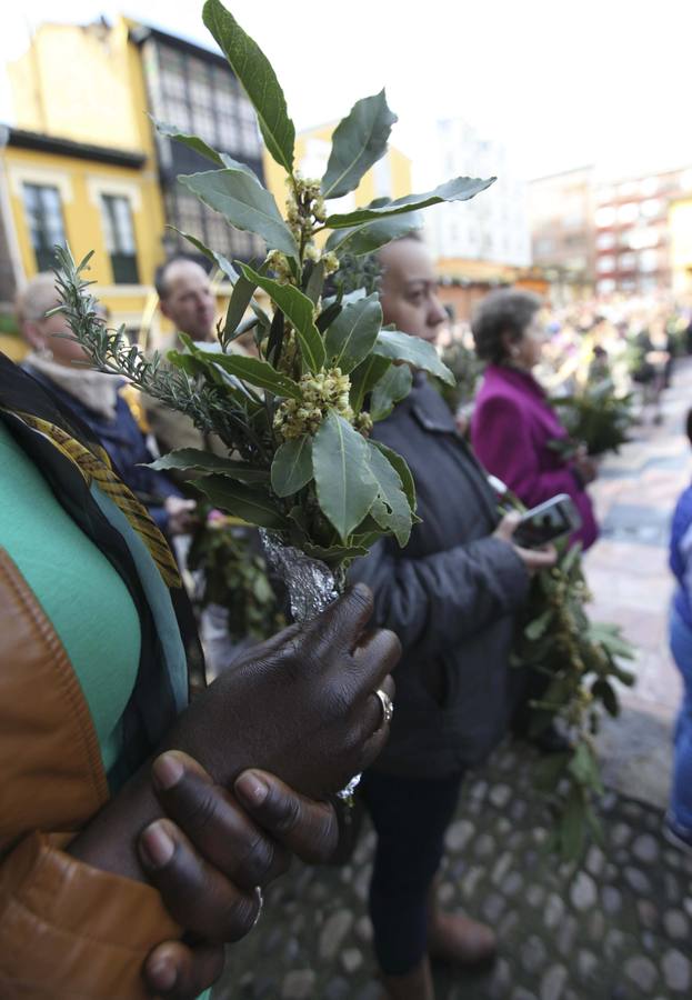 Domingo de Ramos en Avilés