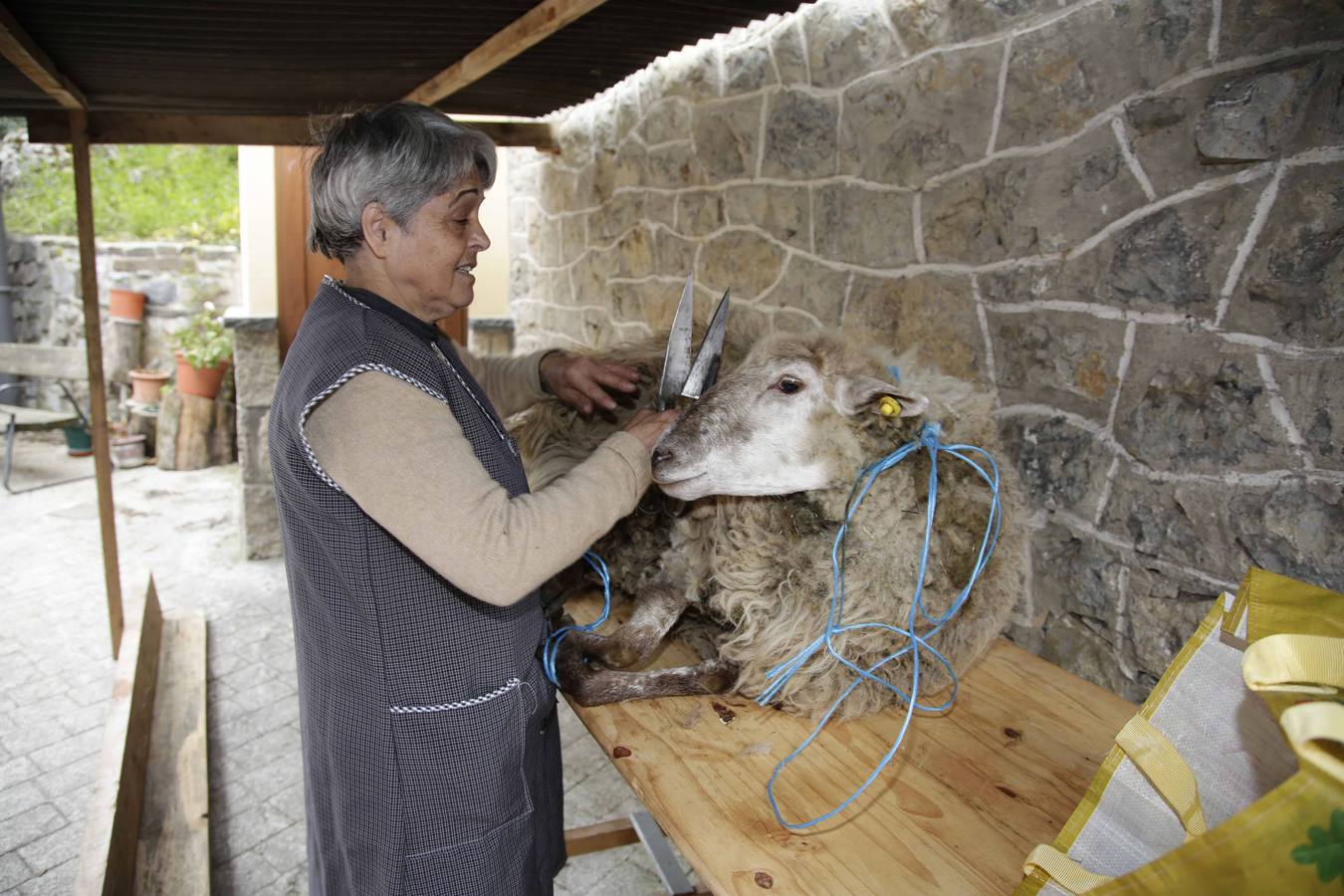 Sobrefoz celebra el Mercáu del Trasiegu