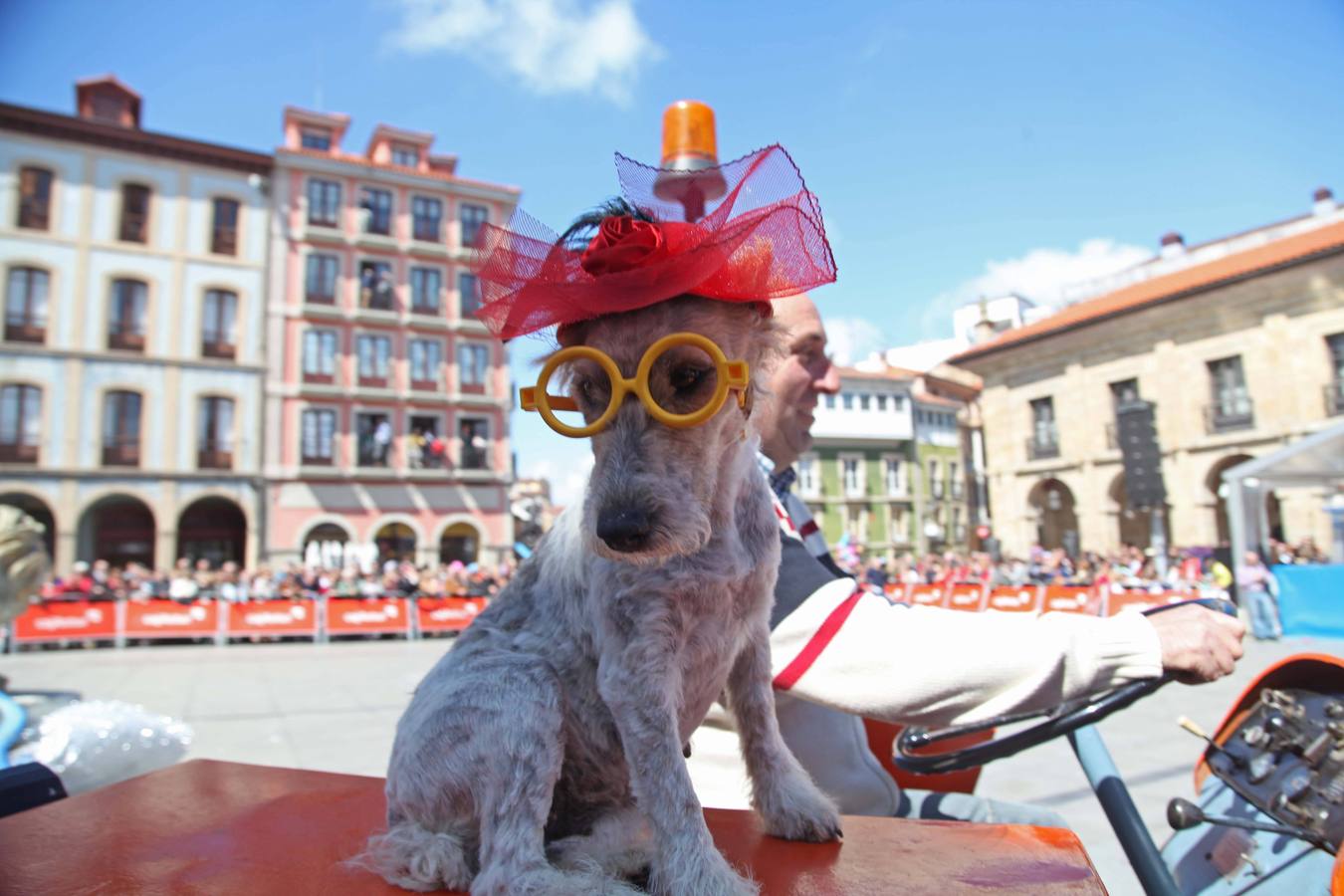 Avilés se vuelca con El Bollo