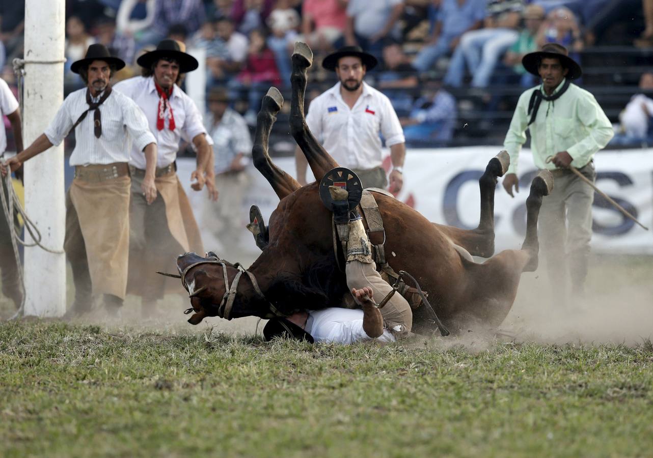 Las espectaculares imágenes de la fiesta de los gauchos