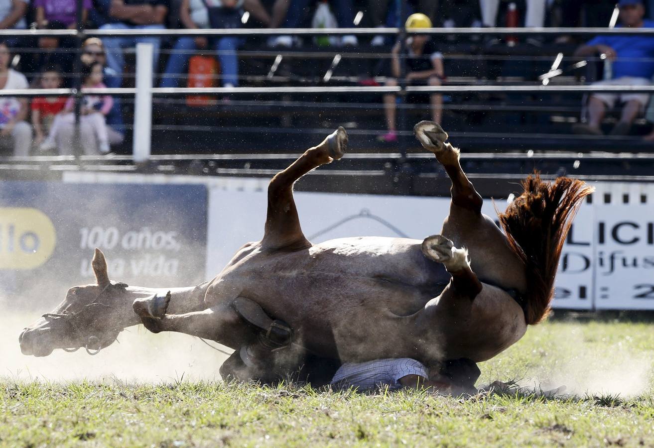 Las espectaculares imágenes de la fiesta de los gauchos