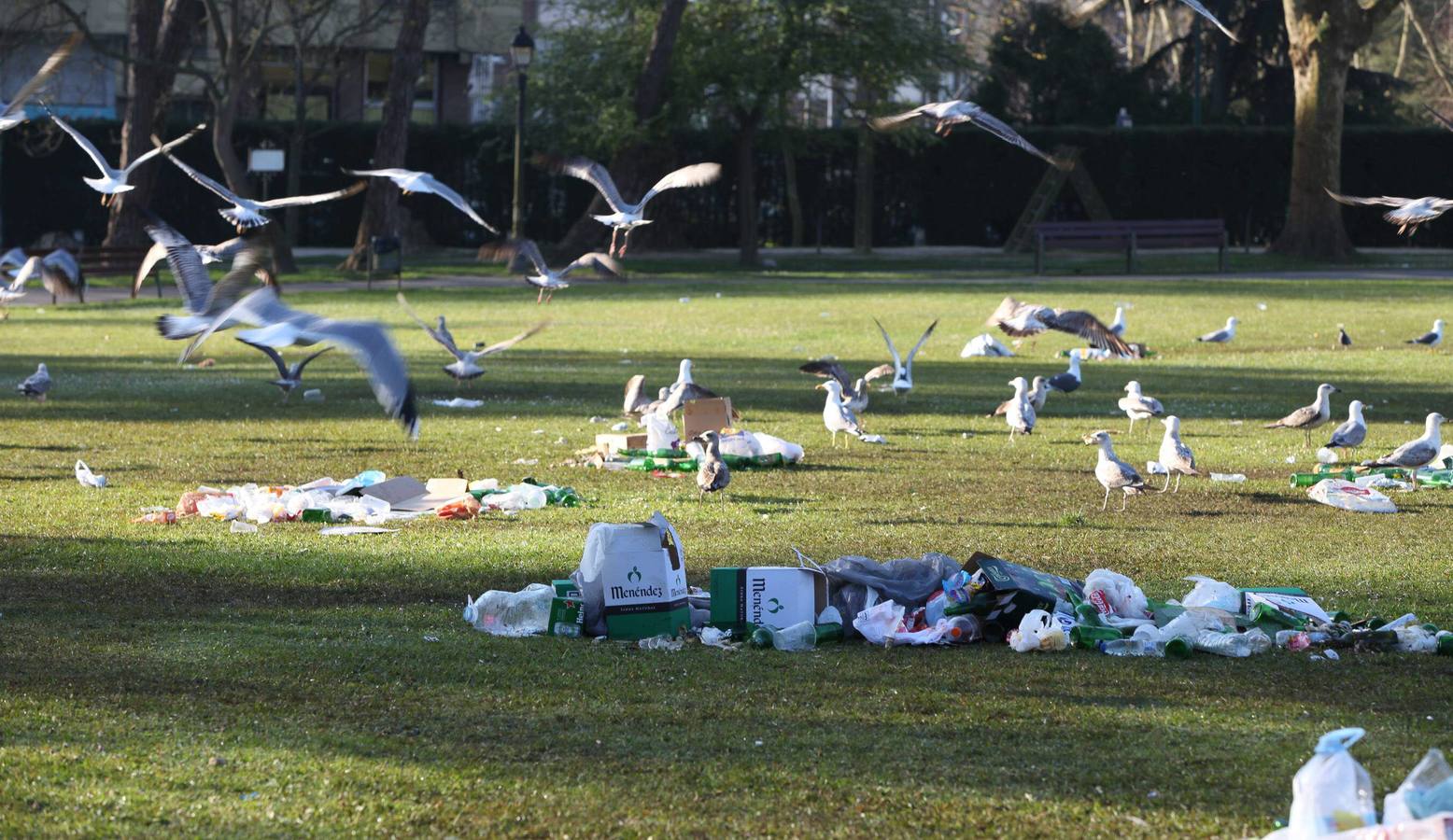 Limpieza en el parque de Ferrera tras la comida en la calle