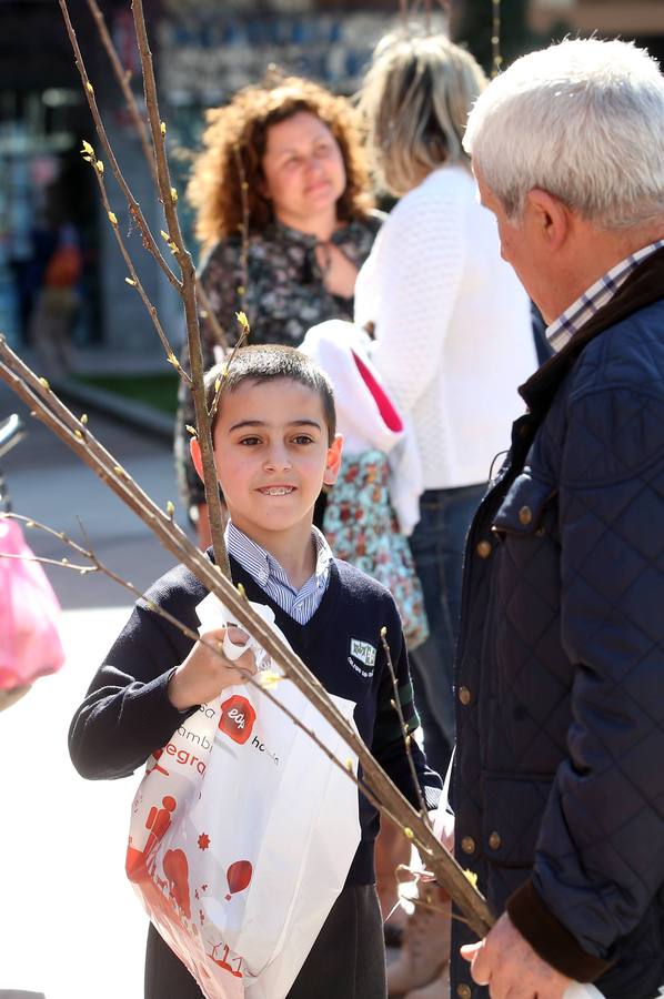 Los niños de Oviedo se comprometen a plantar cerezos