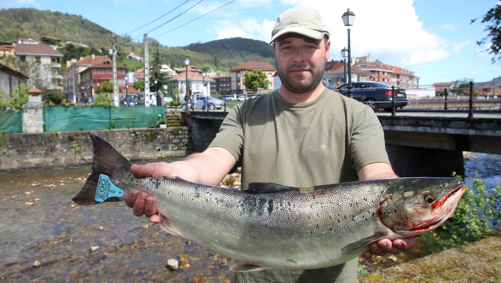 El campanu del río Narcea, un ejemplar de 4,6 kilos