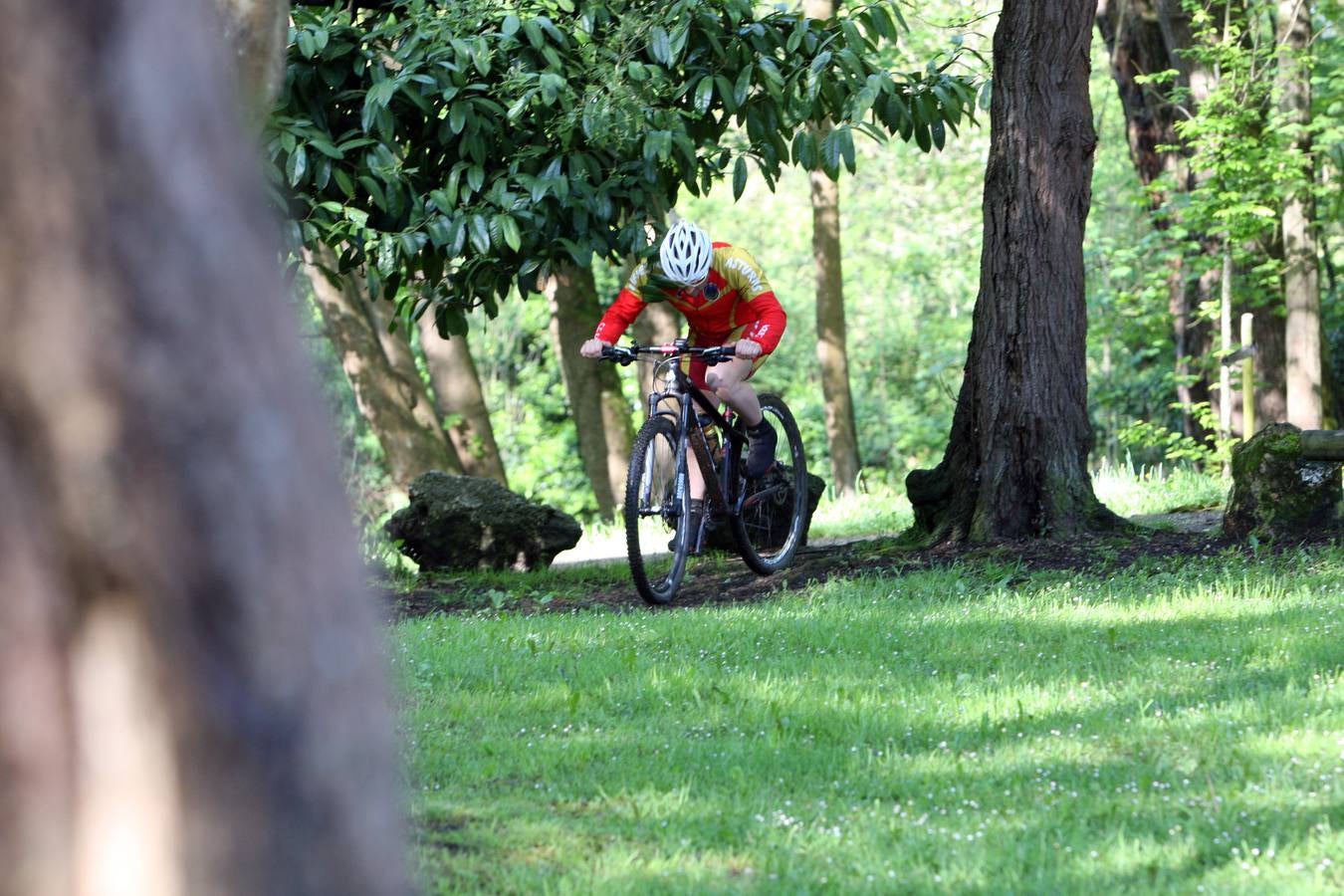 La Acebera, la mayor finca de uso público del centro de Asturias