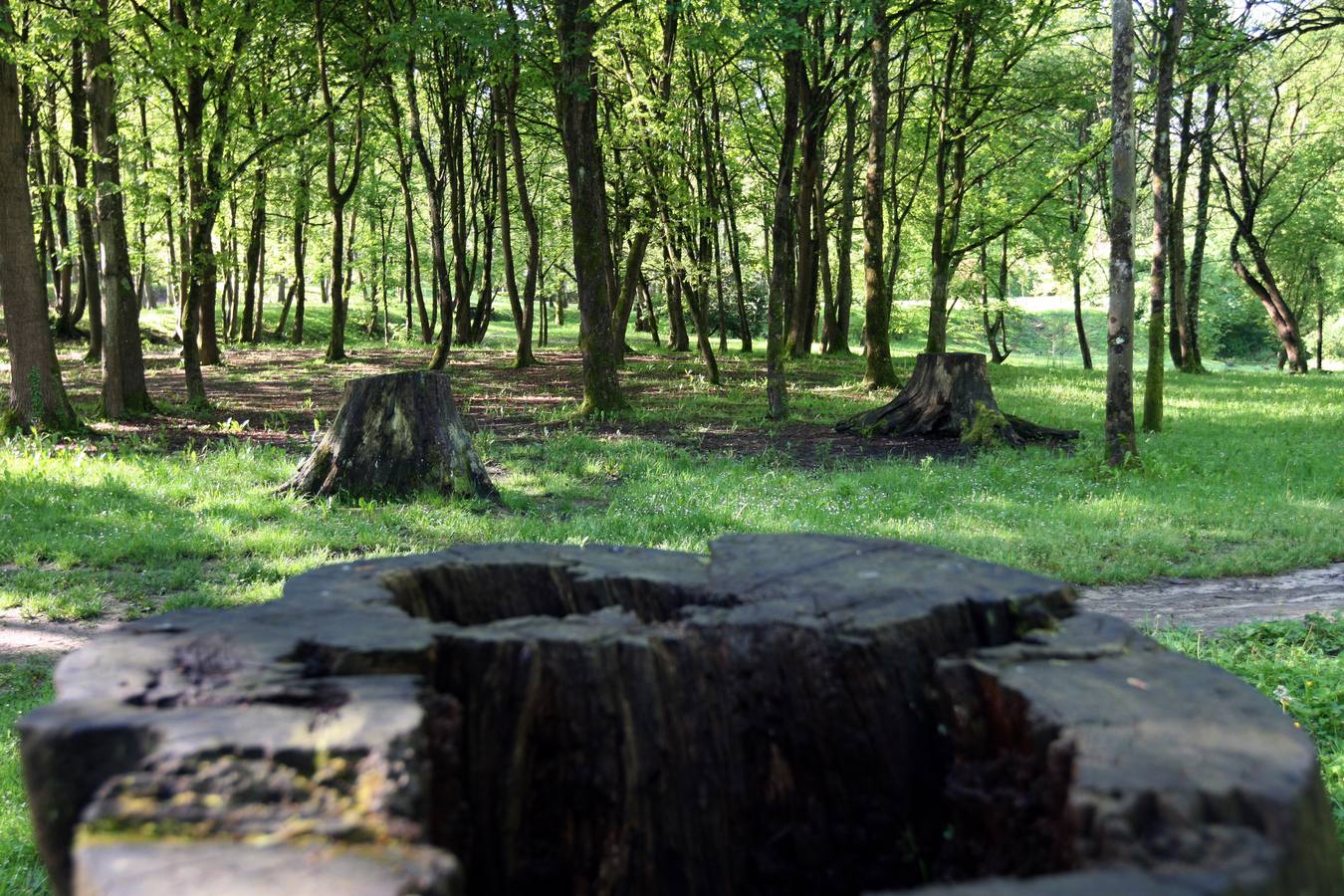 La Acebera, la mayor finca de uso público del centro de Asturias
