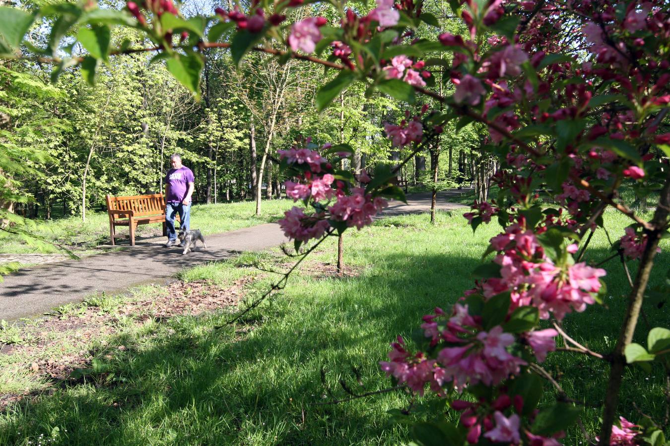 La Acebera, la mayor finca de uso público del centro de Asturias