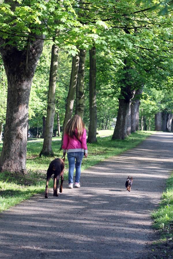 La Acebera, la mayor finca de uso público del centro de Asturias
