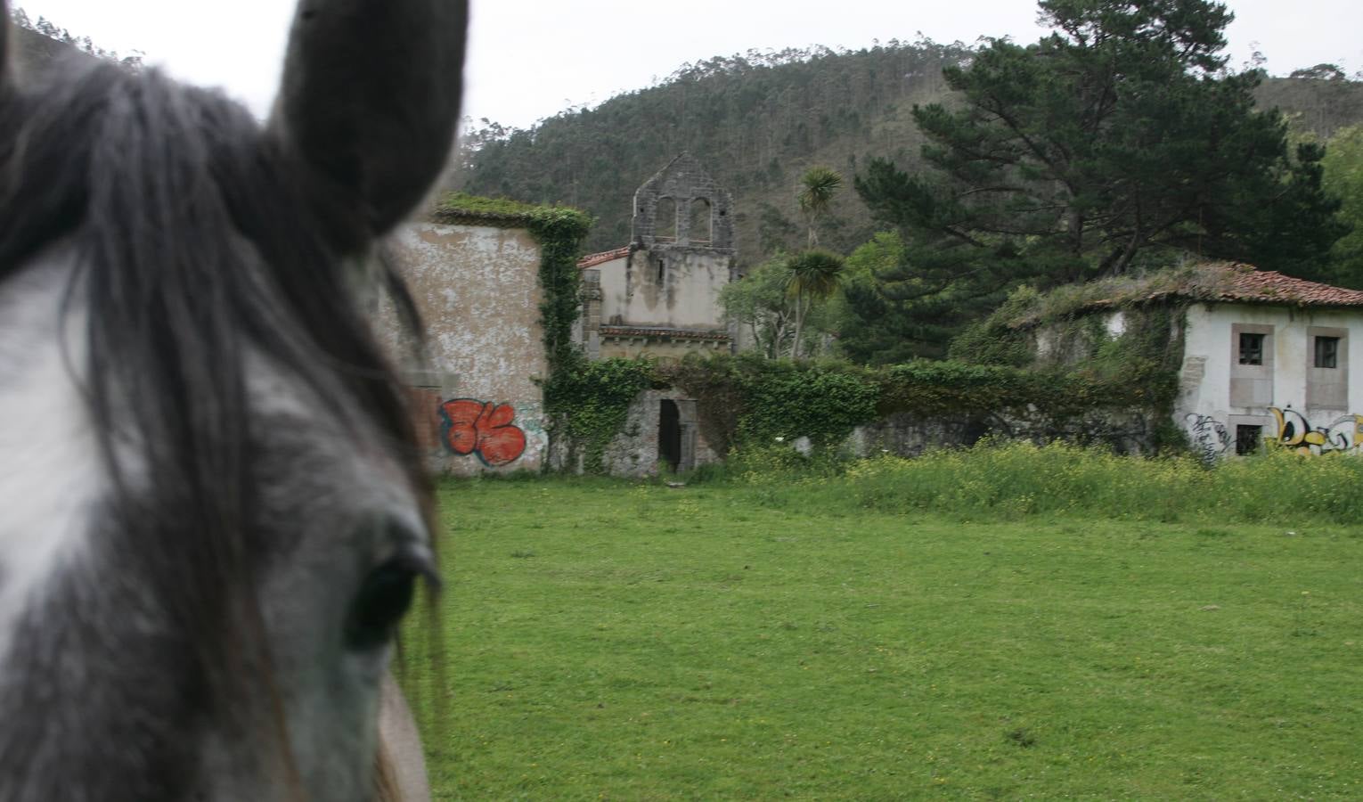 Ruinas del monasterio de San Antolín de Bedón, en Llanes.