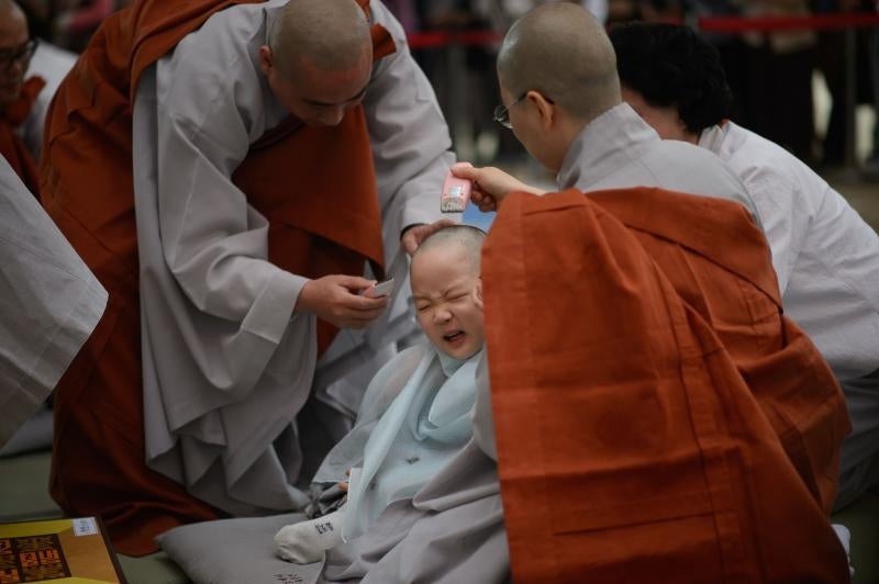 Pequeños monjes budistas durante dos semanas