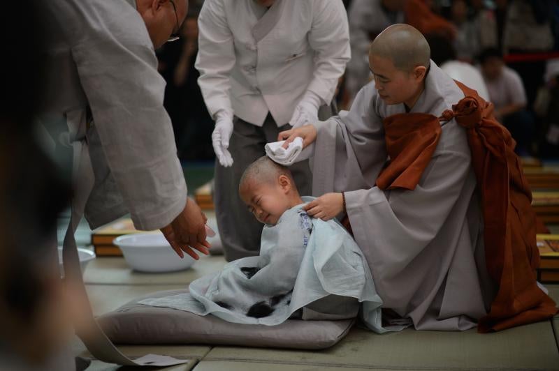 Pequeños monjes budistas durante dos semanas