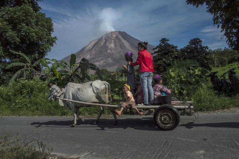 Cuando la naturaleza se despierta