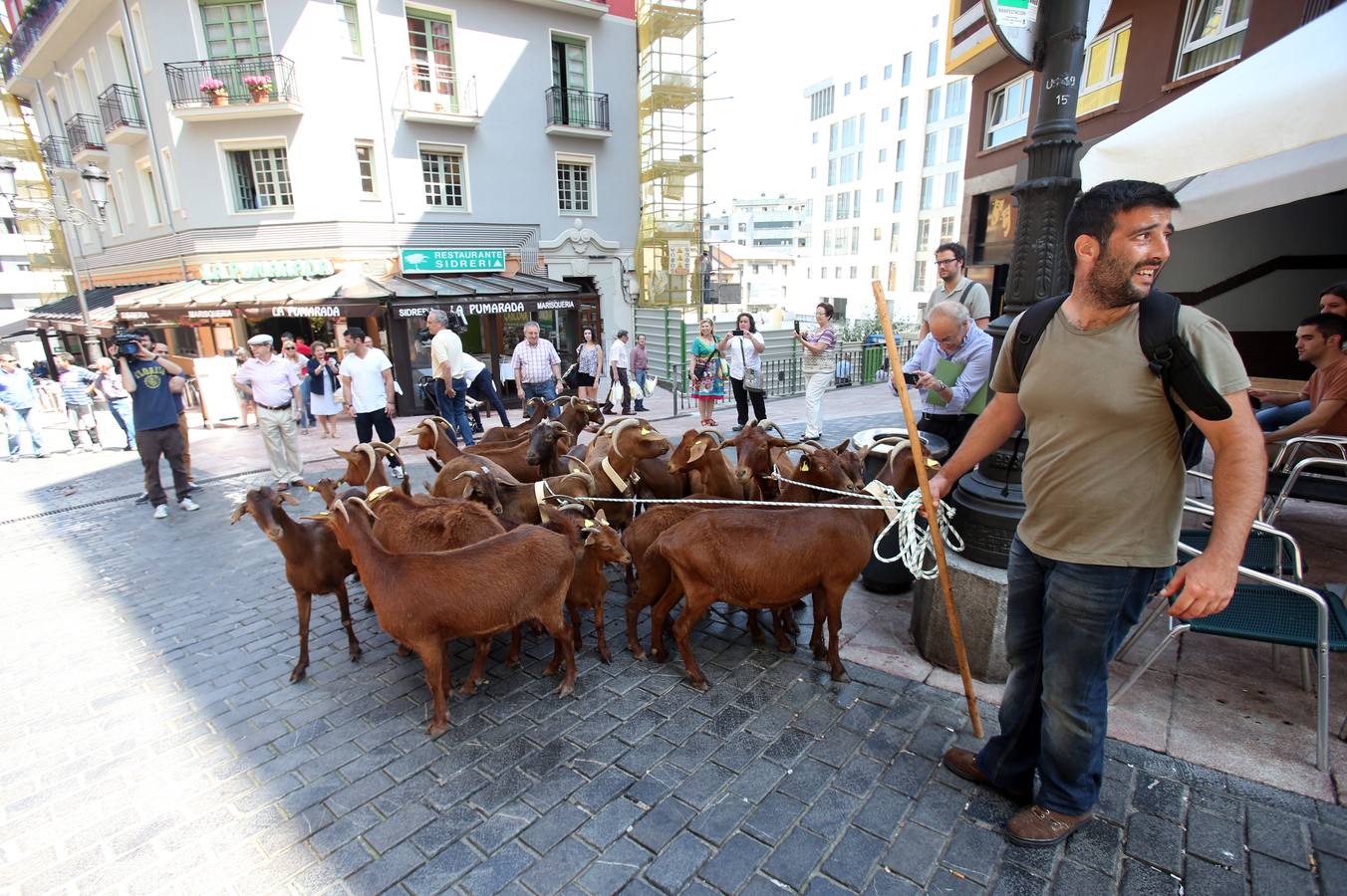 Las cabras toman Gascona