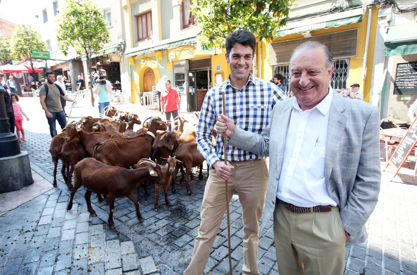 Las cabras toman Gascona