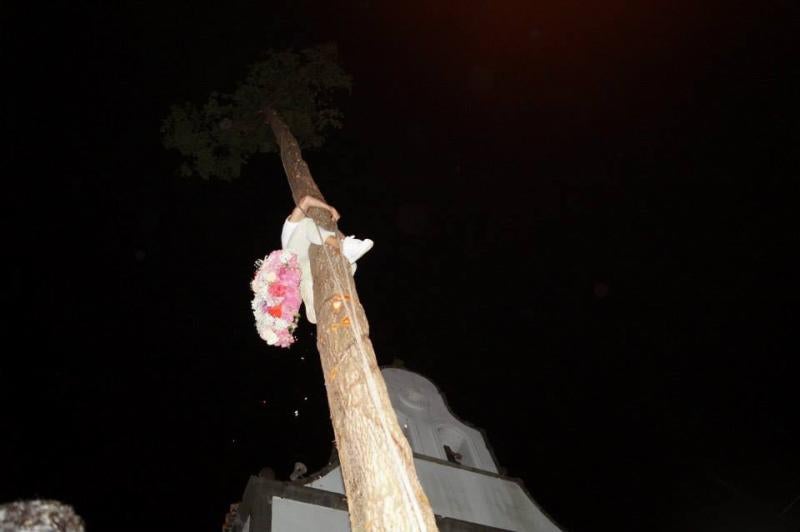 Cangas del Narcea vive la &#039;fiesta del Arbolón&#039;