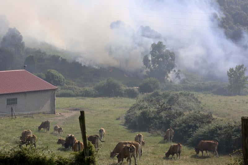 Incendio en Avilés cerca de las instalaciones de Alcoa
