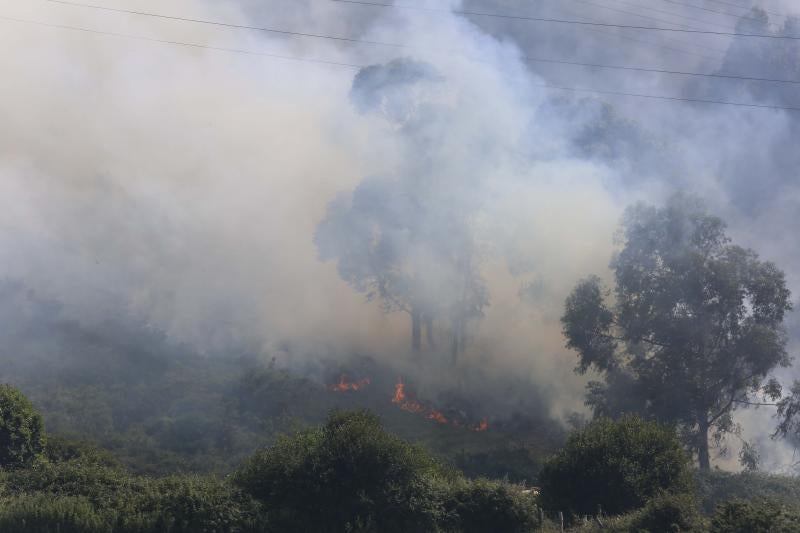 Incendio en Avilés cerca de las instalaciones de Alcoa