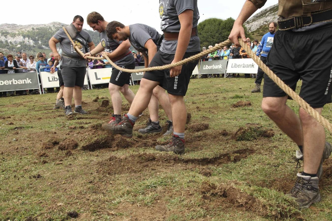 La Fiesta del Pastor, en la Vega del Enol (I)