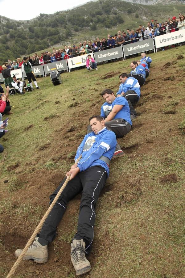 La Fiesta del Pastor, en la Vega del Enol (I)