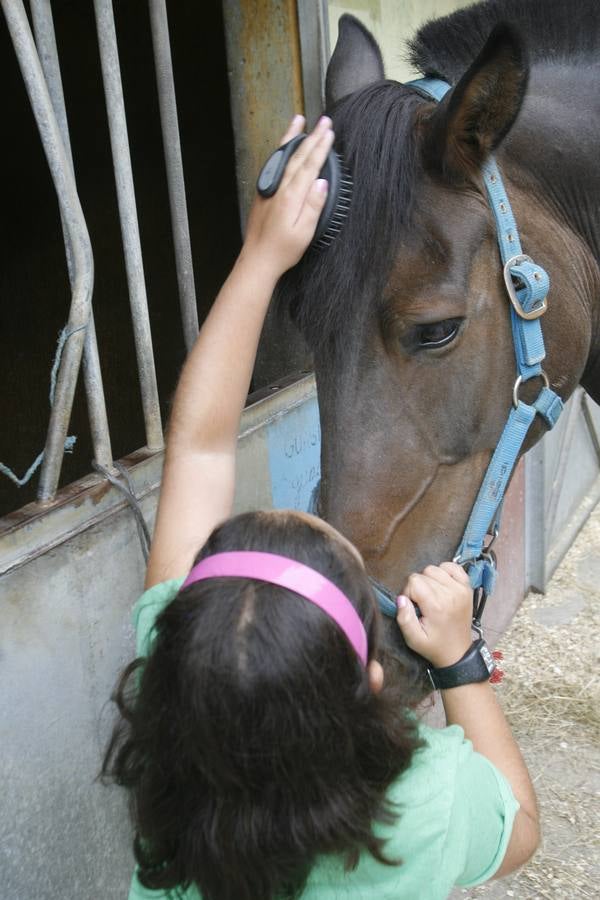 Hipoterapia en El Asturcón