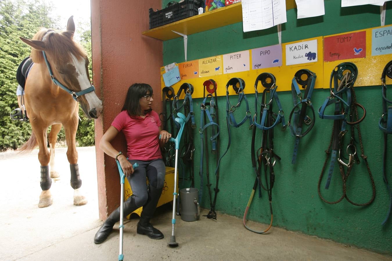 Hipoterapia en El Asturcón