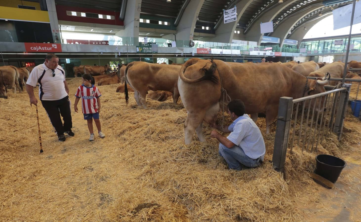 Más que vacas y toros en el Concurso de Ganado de San Agustín