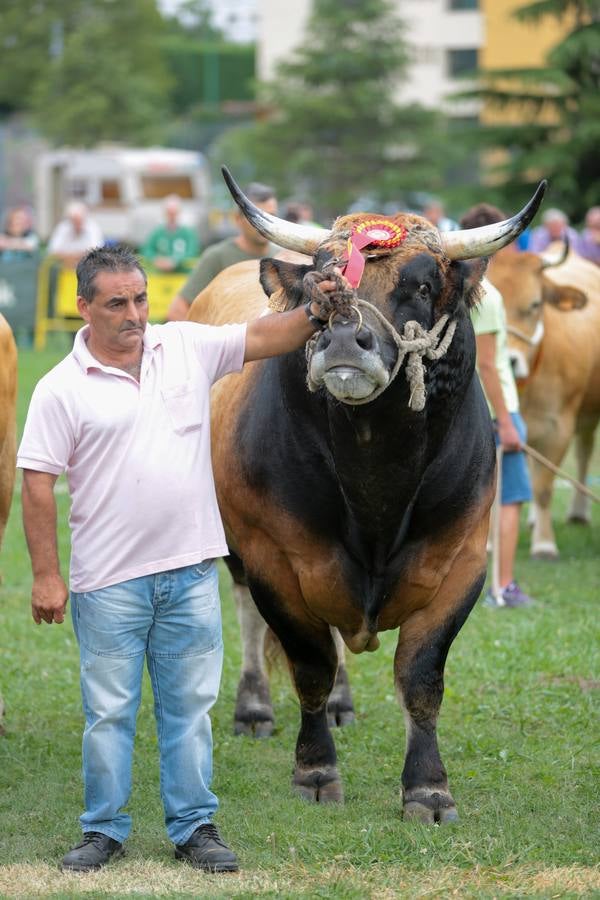 El Certamen de Ganado de San Agustín echa el cierre