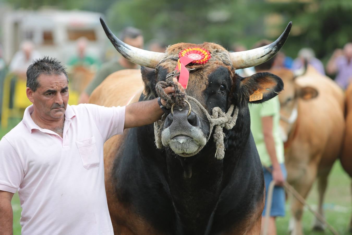 El Certamen de Ganado de San Agustín echa el cierre