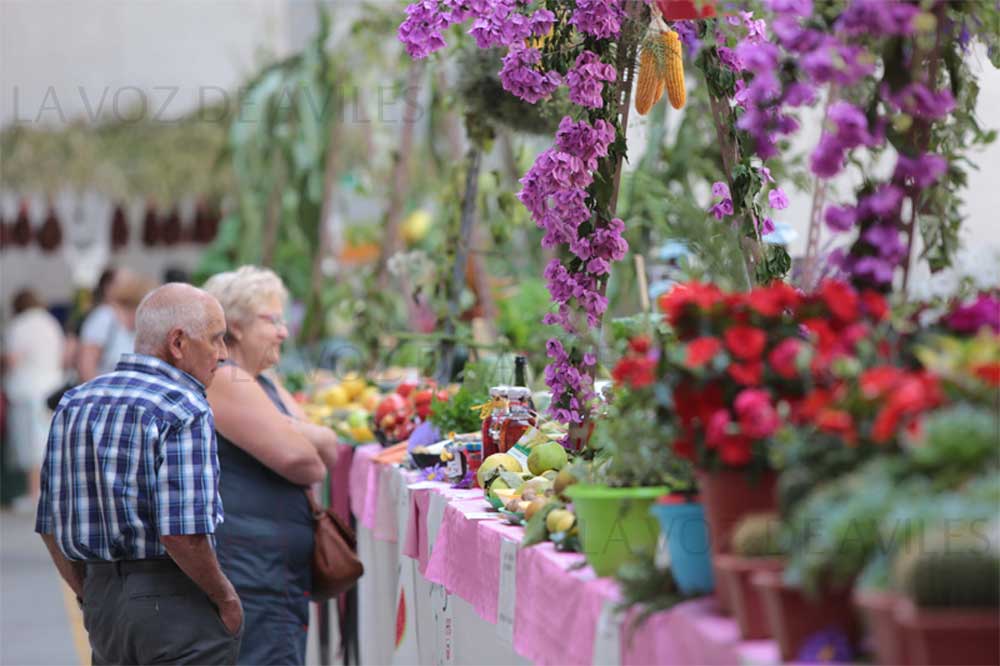 Exposición regional de frutas, flores y Plantas en Pravia