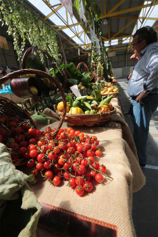 Exposición regional de frutas, flores y Plantas en Pravia