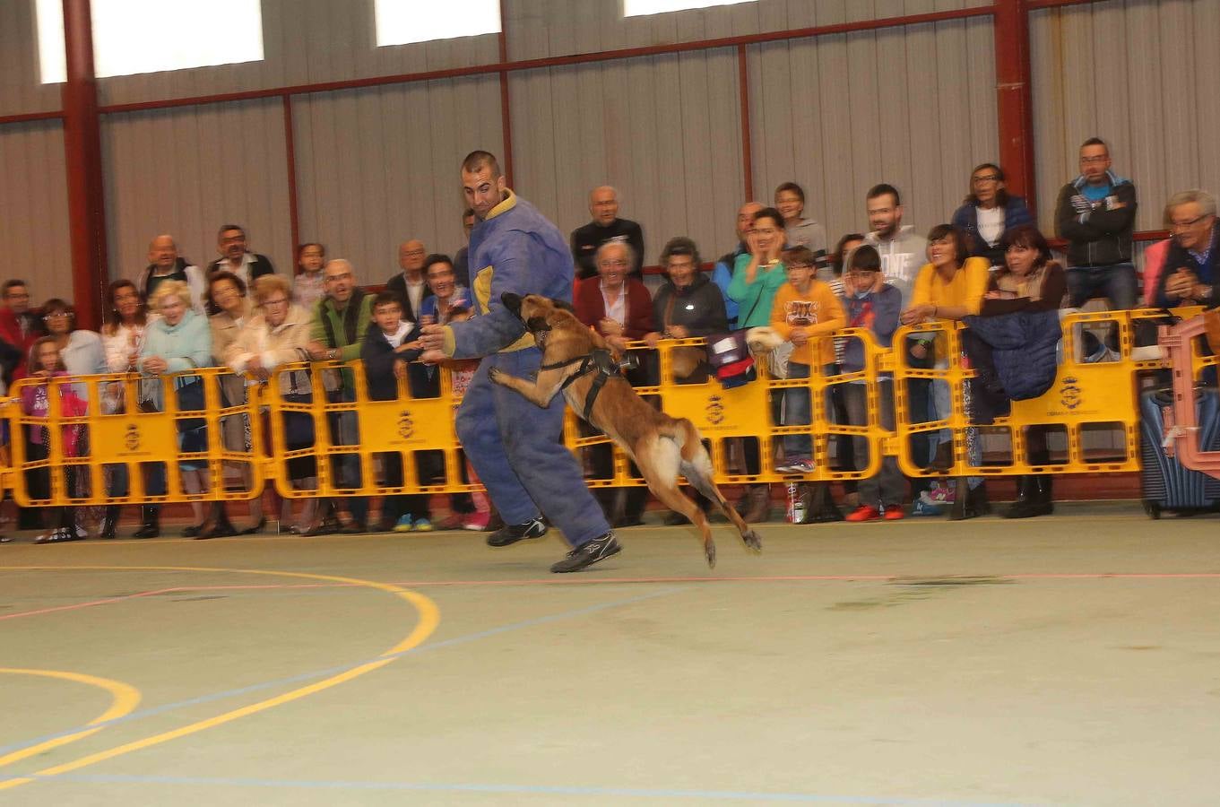 La Guardia Real Española, de maniobras en Asturias