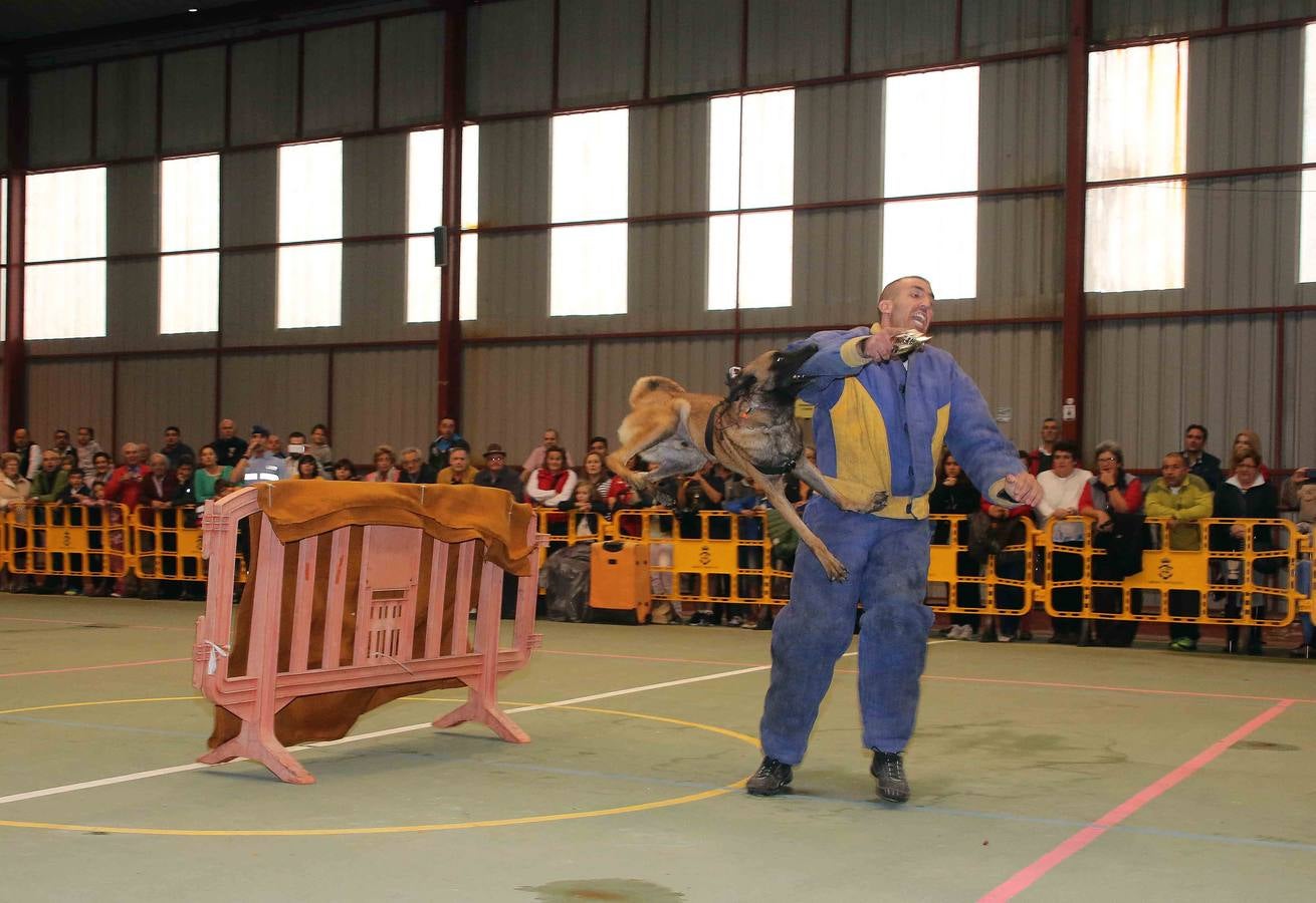 La Guardia Real Española, de maniobras en Asturias