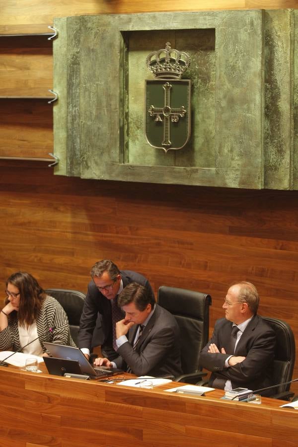 Primer pleno de la legislatura