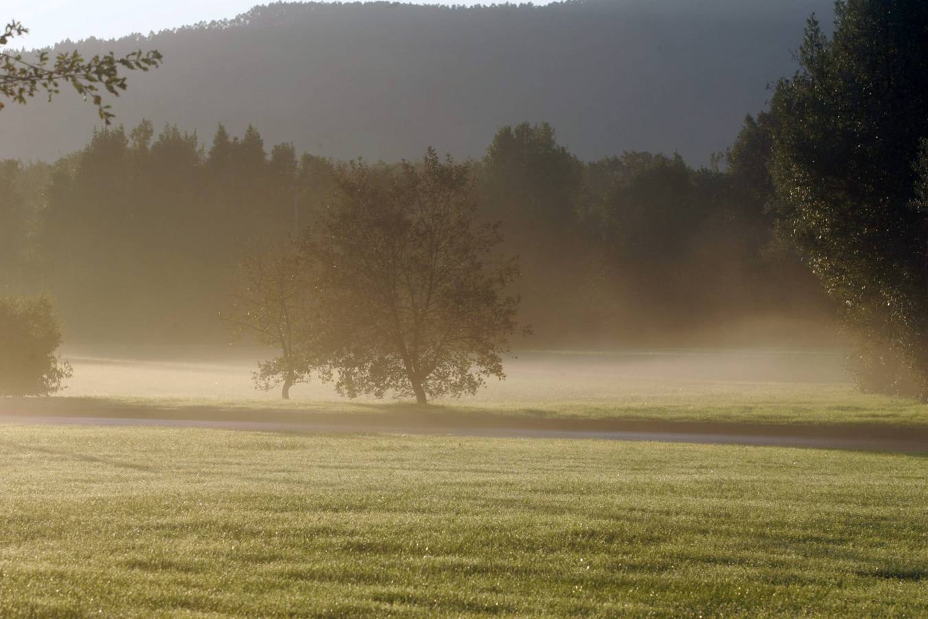 Neblina en Cabueñes. Selección de imágenes de los fotógrafos de EL COMERCIO.