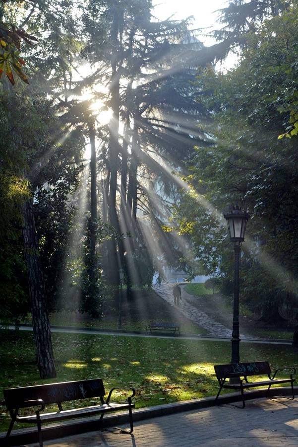 Campo de San Francisco. Selección de imágenes de los fotógrafos de EL COMERCIO.