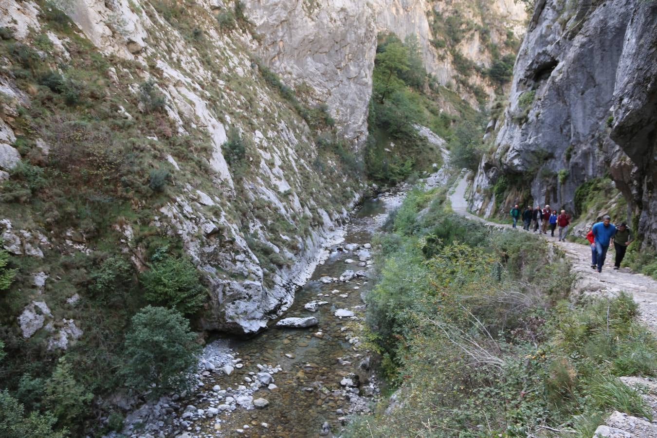 Homenaje a la saga de los Martínez, «los padres del montañismo asturiano»