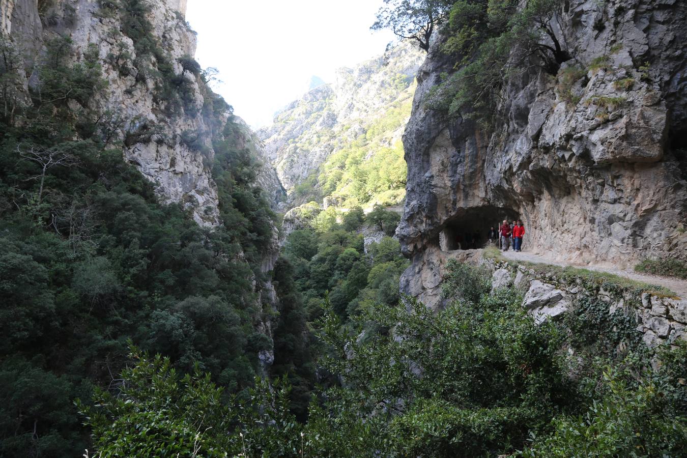 Homenaje a la saga de los Martínez, «los padres del montañismo asturiano»