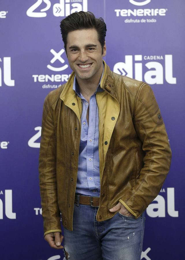 David Bustamante, de OT a artista internacional