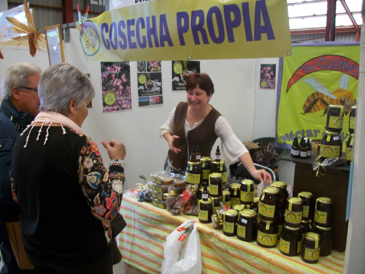 XXIX edición de la Feria de la Miel de Boal