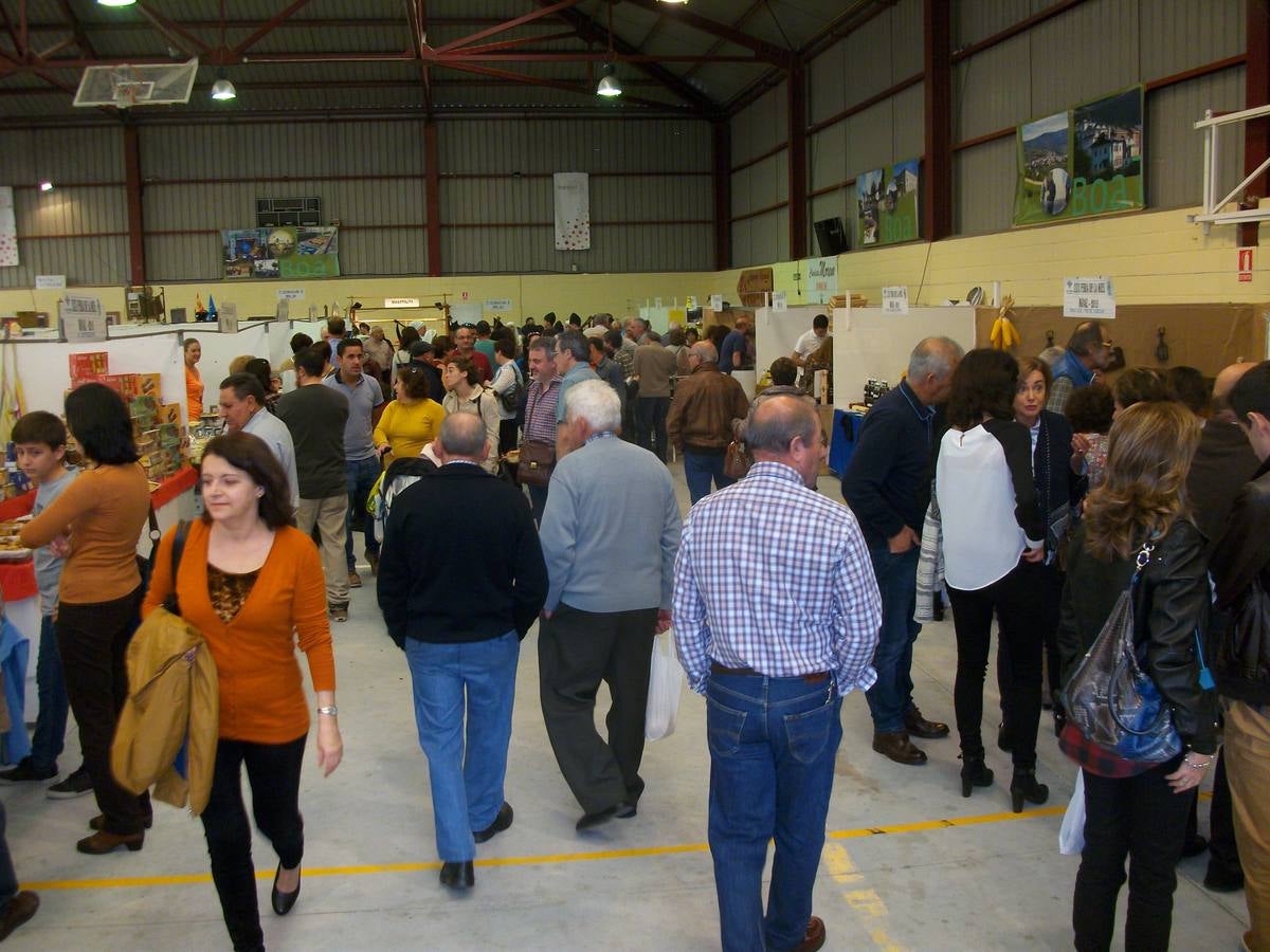 XXIX edición de la Feria de la Miel de Boal
