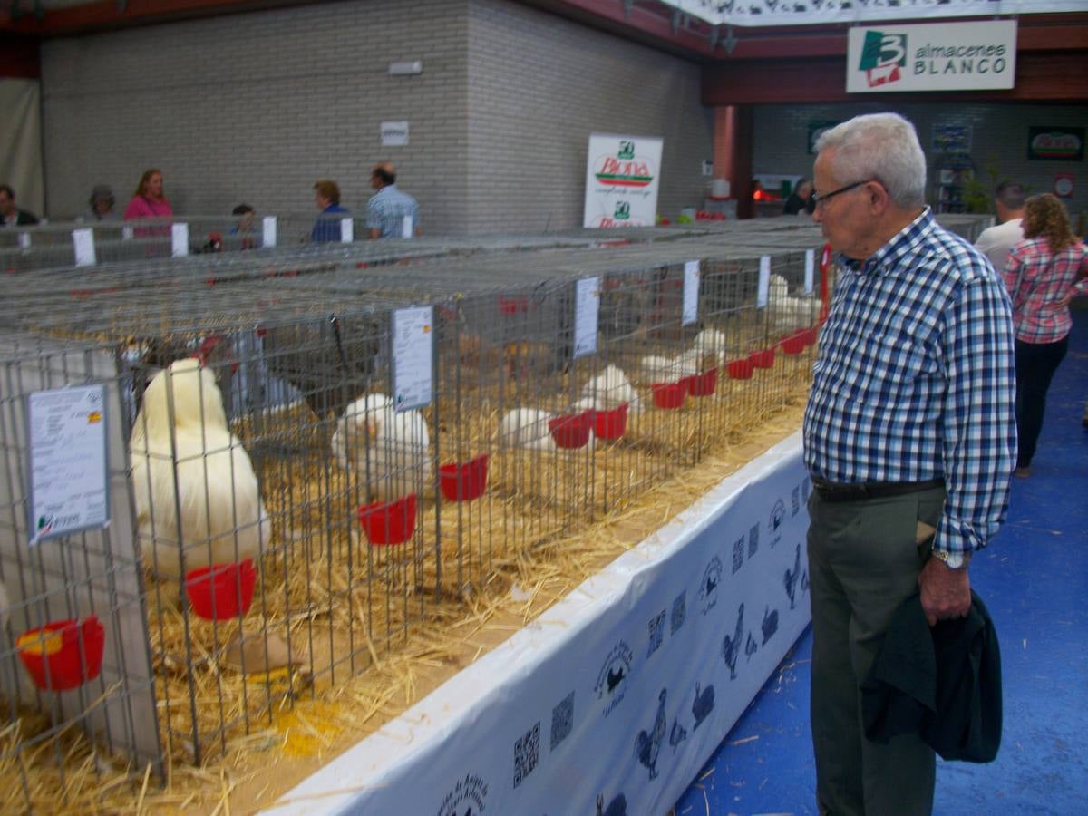 XII Exposición Internacional de Avicultura en Vegadeo
